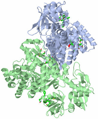 Image Asym./Biol. Unit - sites