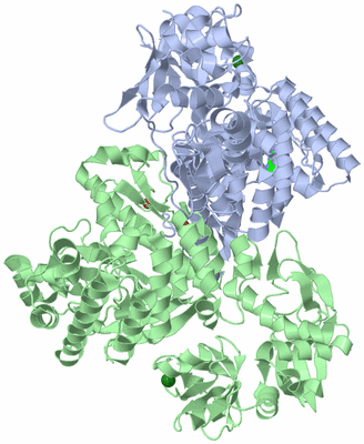 Image Asym./Biol. Unit