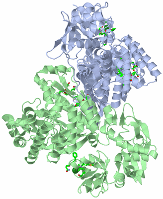 Image Asym./Biol. Unit - sites