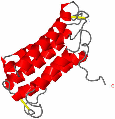 Image NMR Structure - model 1