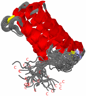 Image NMR Structure - all models