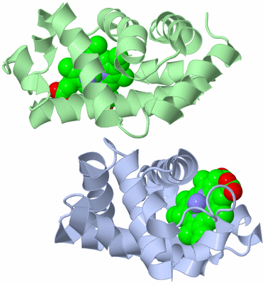 Image Asymmetric Unit