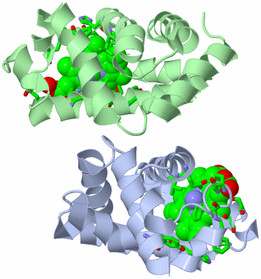 Image Asym. Unit - sites