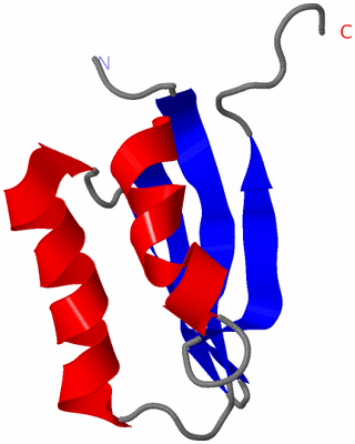 Image NMR Structure - model 1