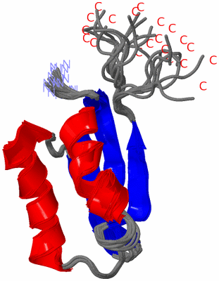 Image NMR Structure - all models