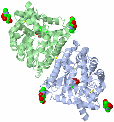 Image Asym./Biol. Unit