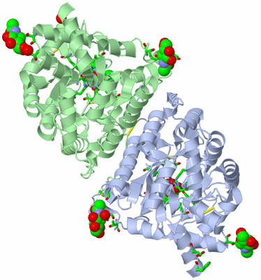 Image Asym./Biol. Unit - sites