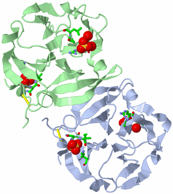 Image Asym./Biol. Unit - sites