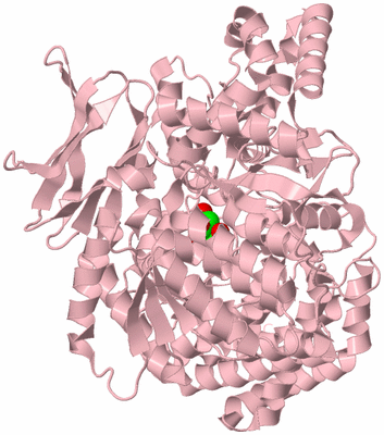 Image Biological Unit 3