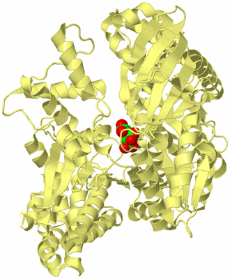 Image Biological Unit 4