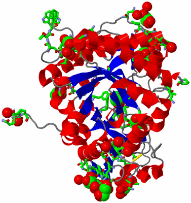 Image Asym./Biol. Unit - sites