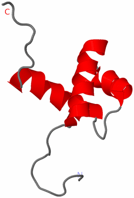 Image NMR Structure - model 1