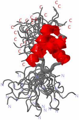 Image NMR Structure - all models