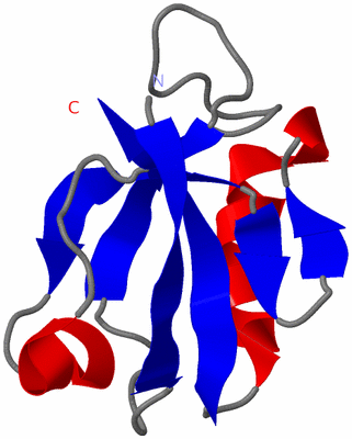 Image NMR Structure - model 1