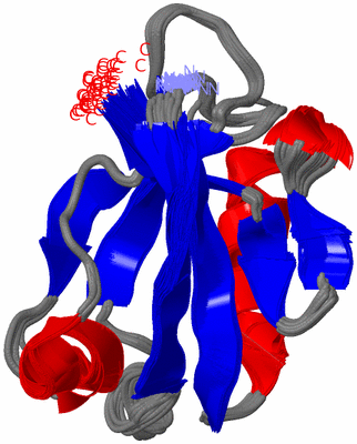 Image NMR Structure - all models