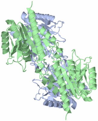 Image Biological Unit 2