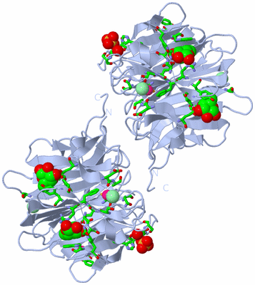 Image Biol. Unit 1 - sites