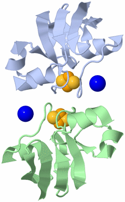Image Asymmetric Unit