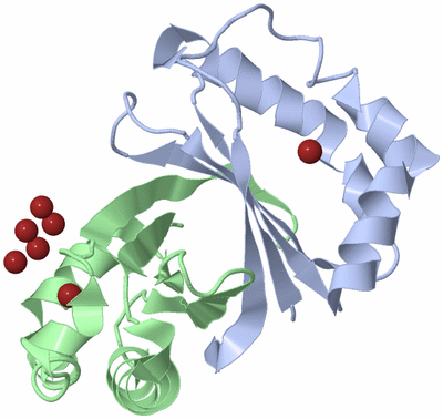 Image Biological Unit 1