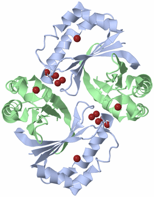 Image Biological Unit 2