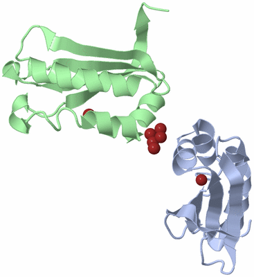 Image Biological Unit 3