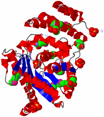 Image Asym./Biol. Unit