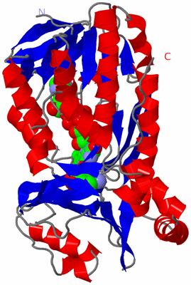 Image Asymmetric Unit