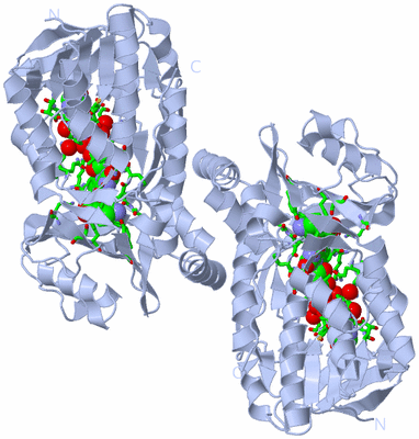 Image Biol. Unit 1 - sites