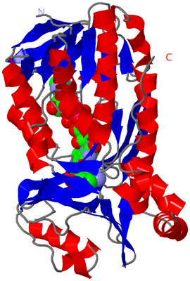 Image Asymmetric Unit