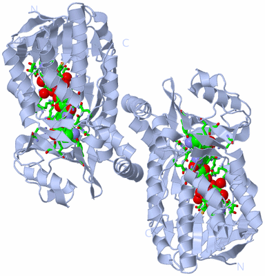 Image Biol. Unit 1 - sites