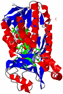 Image Asym. Unit - sites