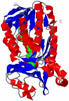 Image Asymmetric Unit