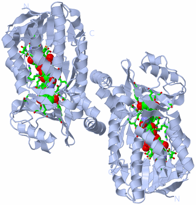 Image Biol. Unit 1 - sites