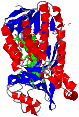 Image Asym. Unit - sites