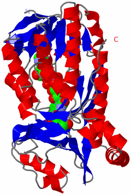 Image Asymmetric Unit