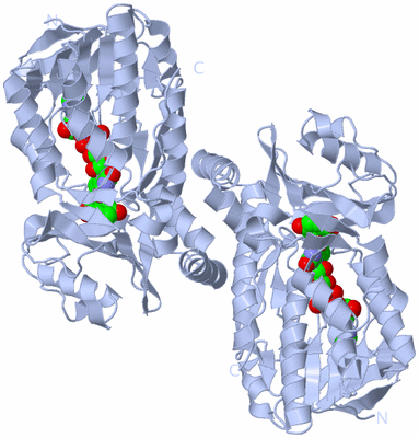Image Biological Unit 1