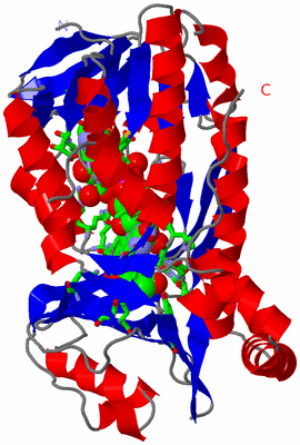 Image Asym. Unit - sites