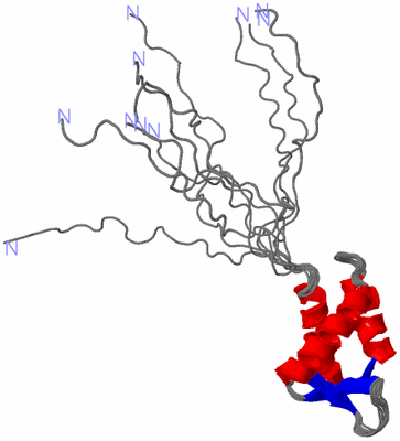 Image NMR Structure - all models