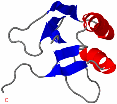 Image NMR Structure - model 1