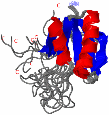 Image NMR Structure - all models