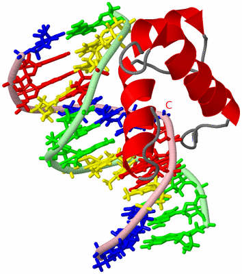 Image NMR Structure - model 1