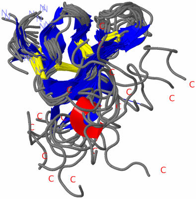 Image NMR Structure - all models