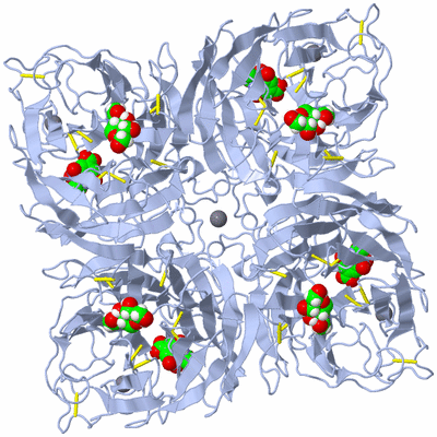 Image Biological Unit 1