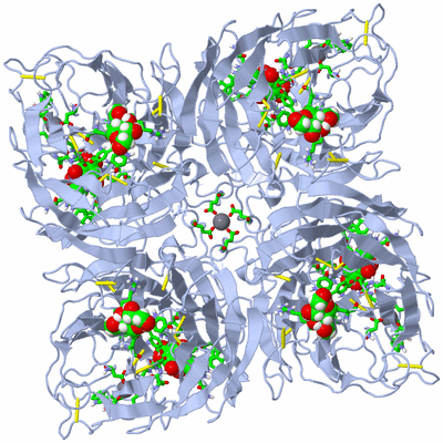 Image Biol. Unit 1 - sites