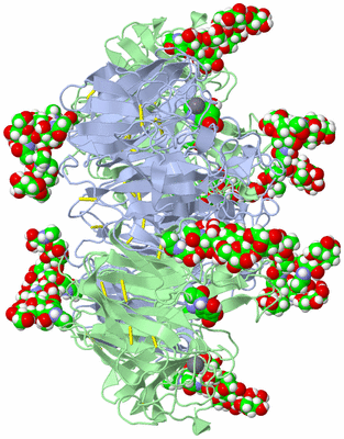 Image Biological Unit 1