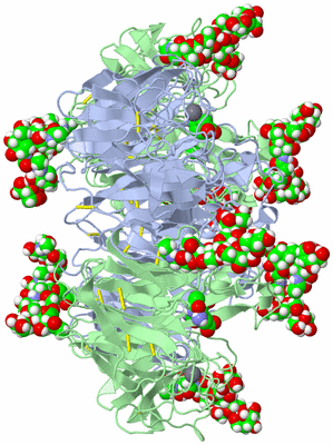 Image Biological Unit 1