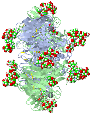 Image Biological Unit 1