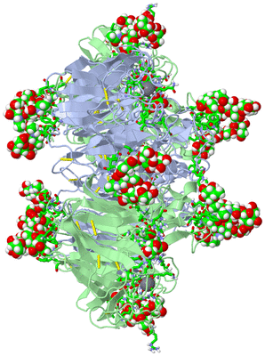 Image Biol. Unit 1 - sites