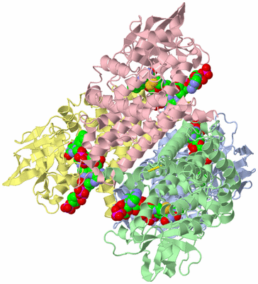 Image Asym./Biol. Unit