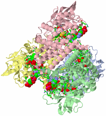 Image Asym./Biol. Unit - sites